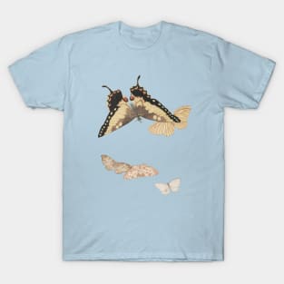 Moths and Butterflies sketch T-Shirt